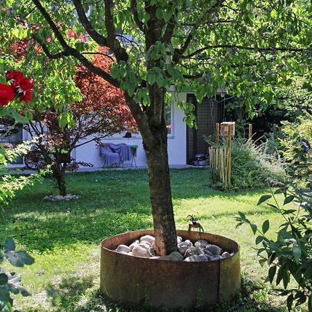 Nigler Innsbruck Apartment Ngoại thất bức ảnh